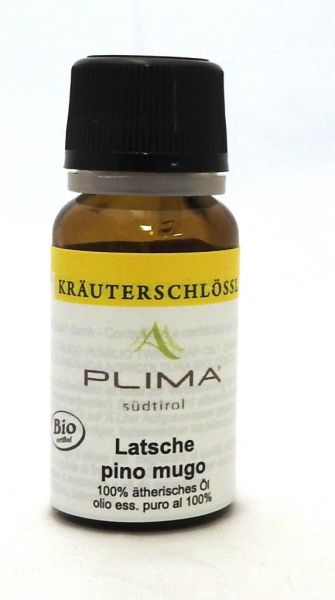 Latschen Öl