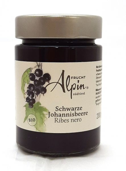 Schwarze Johannisbeere